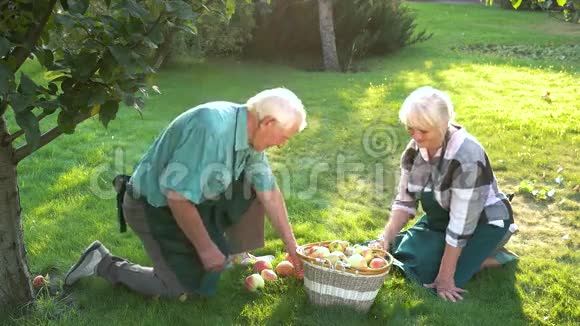 老园丁夫妇苹果篮子视频的预览图