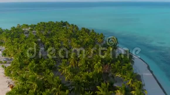 菲律宾巴拉巴茨奥诺克岛棕榈树4鸟瞰图视频的预览图