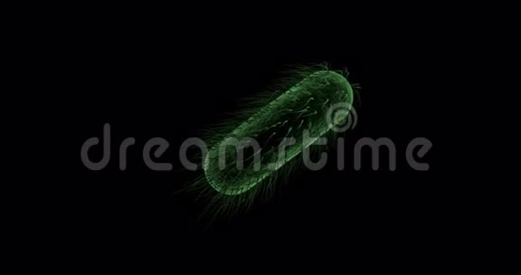 黑色背景下的数字细菌细胞视频的预览图