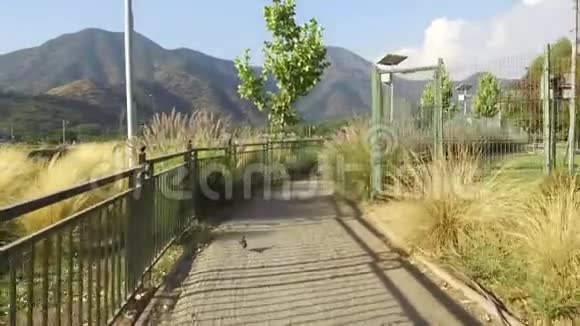 智利河岸自行车道视频的预览图