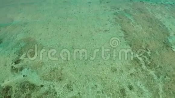 泻湖中透明的蓝色海水视频的预览图