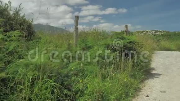 在阳光明媚的夏日诺瑟恩西班牙乡村的绿色景观长满青草的山丘视频的预览图