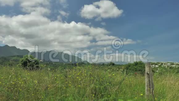 在阳光明媚的夏日诺瑟恩西班牙乡村的绿色景观长满青草的山丘视频的预览图