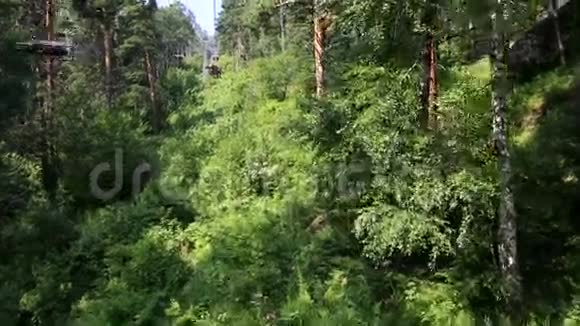 美丽的植被在贝尔库里克哈的Tserkovka山坡上阿尔泰克拉伊视频的预览图