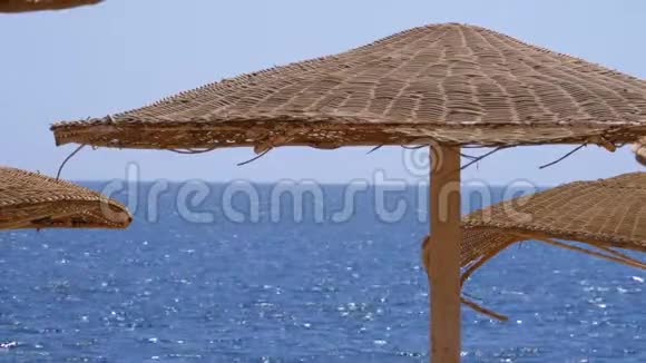 以红海为背景的埃及空海滩带伞视频的预览图