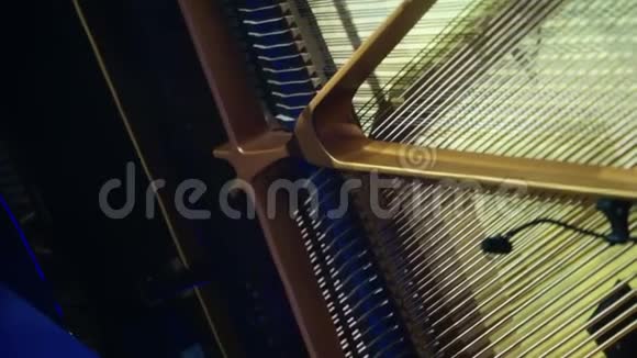 在音乐会上弹钢琴视频的预览图