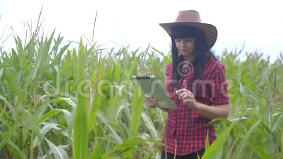 智慧生态农业农耕生活方式理念农民女孩植物研究人员使用平板电脑同时检查视频的预览图