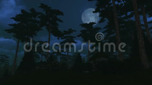 圆月下松木视频的预览图