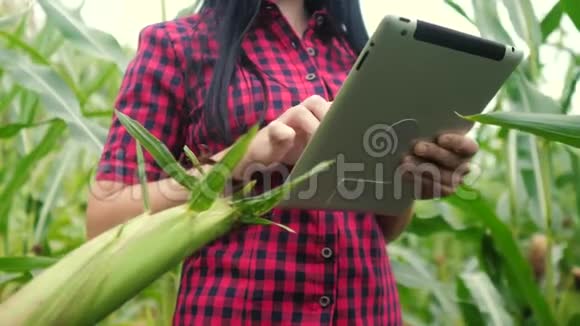 智慧生态农业养殖理念植物研究人员在检查时使用触摸平板电脑的生活方式农民女孩视频的预览图