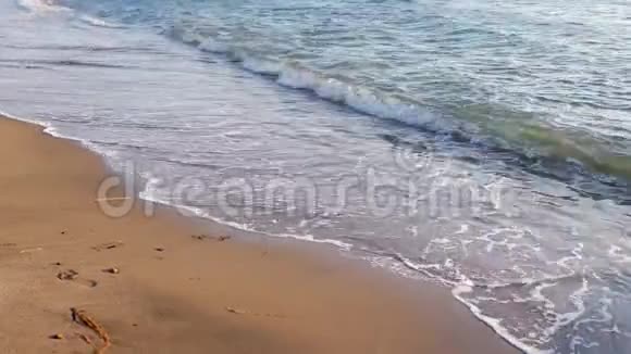 日落时海滩上的海浪夏日的海景背景视频的预览图