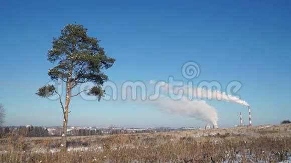 火力发电厂或有吸烟烟囱和孤树的工厂视频的预览图