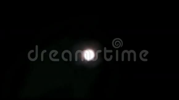 烟花背景中模糊的仙女灯视频的预览图
