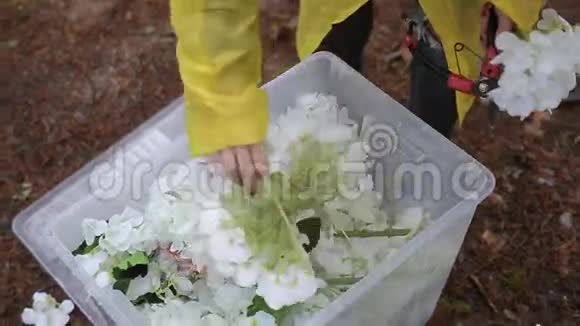 用鲜花装饰婚礼视频的预览图