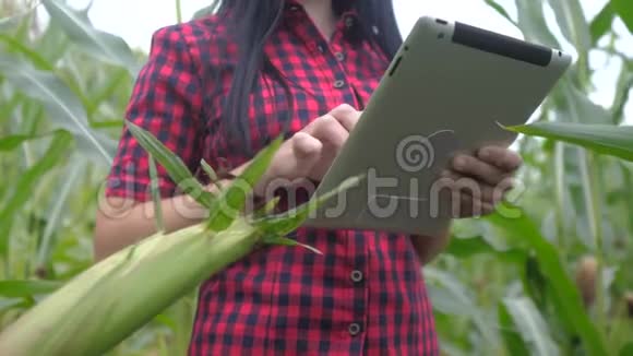 智慧生态农业养殖理念农民女孩的生活方式植物研究者在检查时使用触摸平板电脑视频的预览图