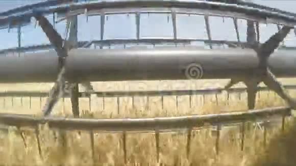 联合收割小麦收割视频的预览图