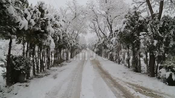 在树木和雪路上下雪视频的预览图