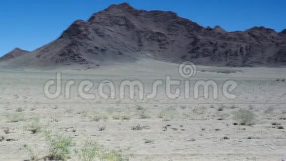 双峰或双驼戈壁沙漠视频的预览图