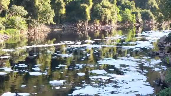 蒂特河污染的泡沫视频的预览图