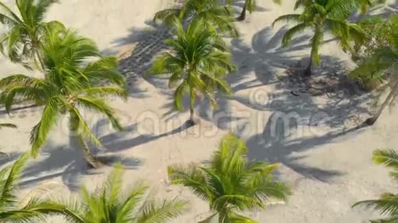 棕榈树在巴拉巴茨的奥诺克岛的白沙海岸上的鸟瞰图视频的预览图