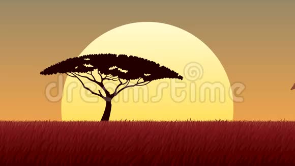 非洲景观日落视频的预览图