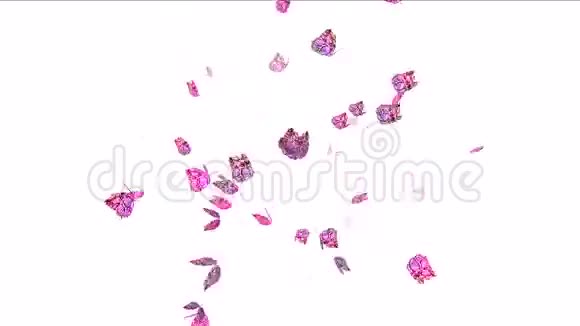 四只飞舞的蝴蝶视频的预览图
