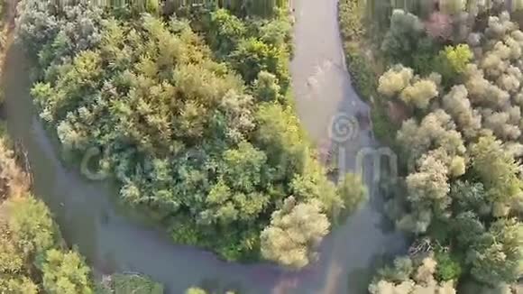 小河流过树林视频的预览图