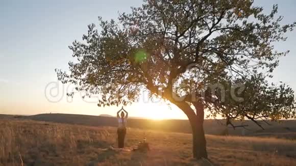 日落时分在野外做瑜伽的孕妇视频的预览图