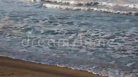 在沙滩上浪视频的预览图