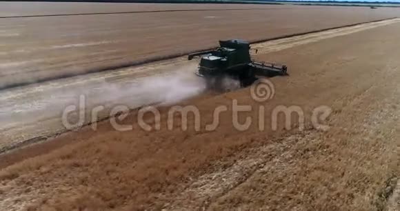 联合收割小麦收割视频的预览图