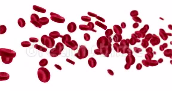3D动画红细胞在动脉内流动人体内流动医疗保健视频的预览图