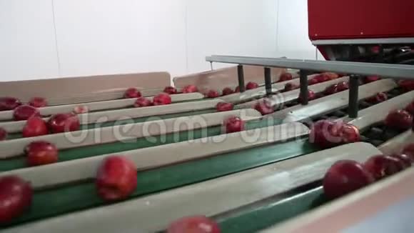 排序线以校准苹果分拣线的工作红苹果红辣椒视频的预览图