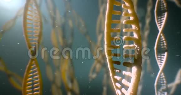 DNA链结构无缝循环动画8k4kUHD视频的预览图