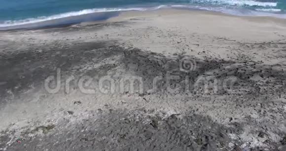 保加利亚波莫里秋季乡村海滩视频的预览图
