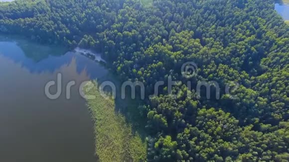 俄罗斯塞利格湖岛上森林的鸟瞰图视频的预览图