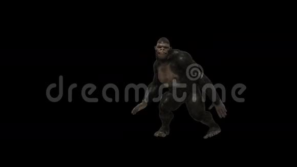 大猩猩搞笑街舞3视频的预览图