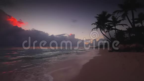 天堂般的热带岛屿海滩景观多米尼加共和国视频的预览图