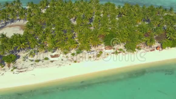 菲律宾巴拉巴茨奥诺克岛棕榈树4鸟瞰图视频的预览图