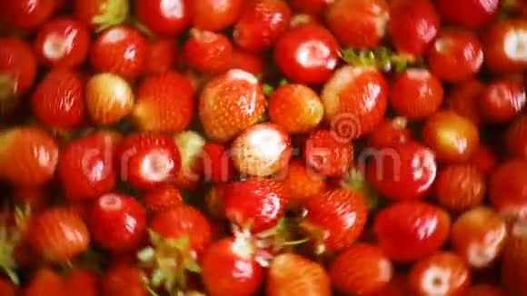 有机天然新鲜成熟草莓的背景视频的预览图