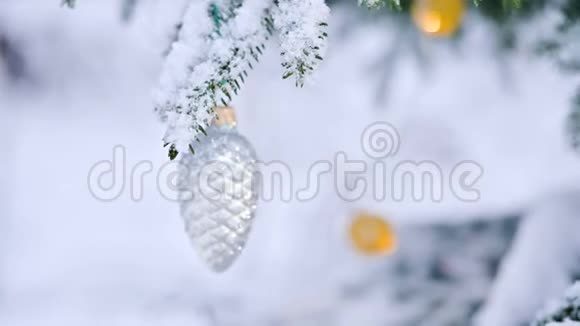 在冬天的森林里在灯光的背景下在白雪覆盖的活泼的树上特写一个圣诞玩具小型自由度视频的预览图