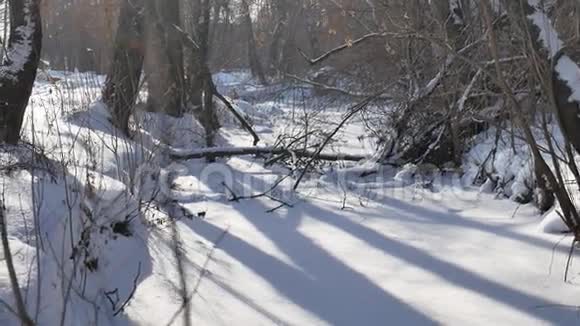 冰雪覆盖的森林溪流自然在白雪覆盖的树梢上视频的预览图