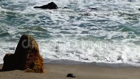 强烈的风暴在海上海浪和白色泡沫在沙滩上滚动视频的预览图