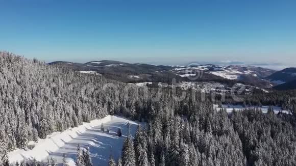 无人机俯瞰冰雪覆盖的冬季森林视频的预览图