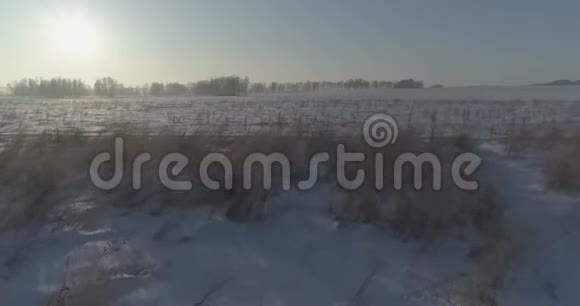 无人驾驶飞机观看寒冷的冬季景观北极的田野覆盖着霜雪的树木和清晨的阳光视频的预览图