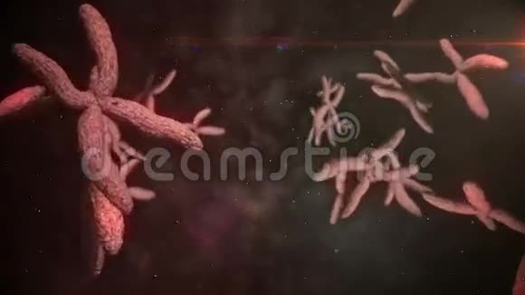动染色体的动画视频的预览图