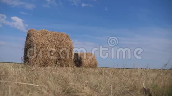农业养殖概念慢动作视频干草堆在美丽的蓝色多云天空下的麦田生活方式视频的预览图