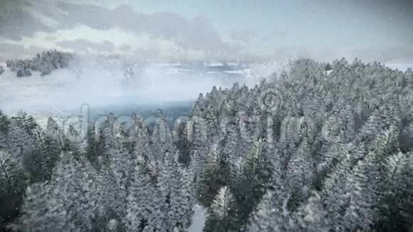 美丽的早晨越过森林的山丘和大海下雪视频的预览图