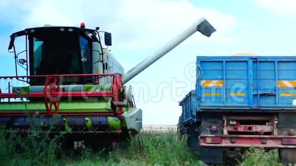 机械化农业的概念收割者联合收割小麦作物视频的预览图