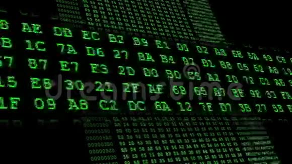绿色十六进制代码运行在计算机屏幕上视频的预览图