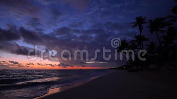 带椰子棕榈树和异国情调的天堂岛海滩的热带日出视频的预览图