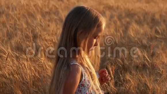日落时在金色田野里的小女孩视频的预览图